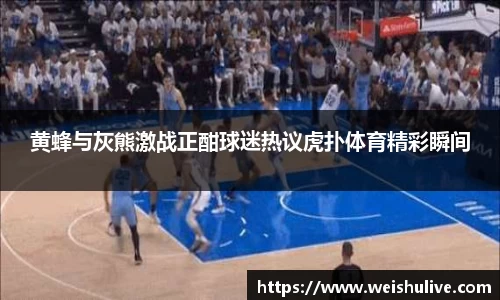 黄蜂与灰熊激战正酣球迷热议虎扑体育精彩瞬间